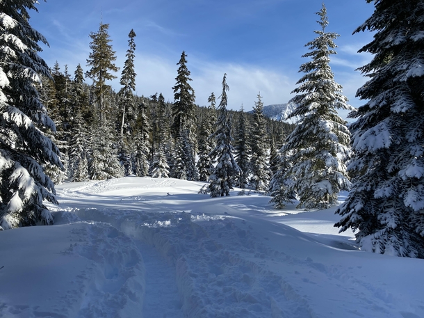 Snowshoeing in beautiful Whitepass