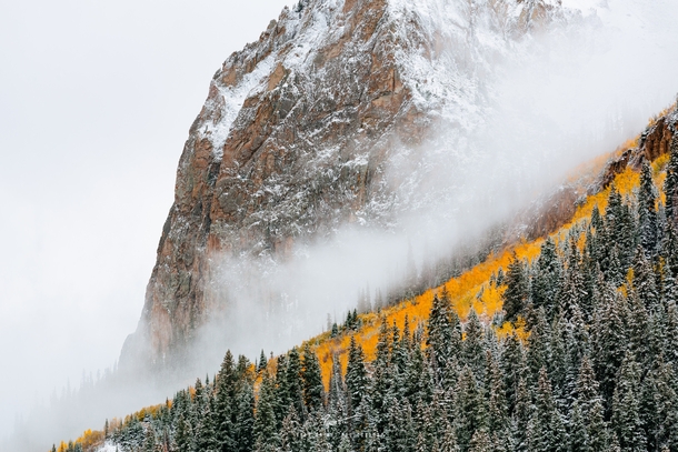 Snowy and Foggy Fall Day near Crested Butte CO 