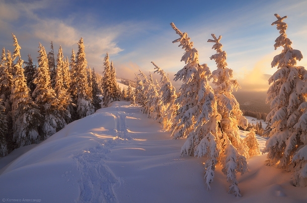 Snowy Carpathian Mountain Range by Ukraine Photographer Alexander Kotenko Jan   