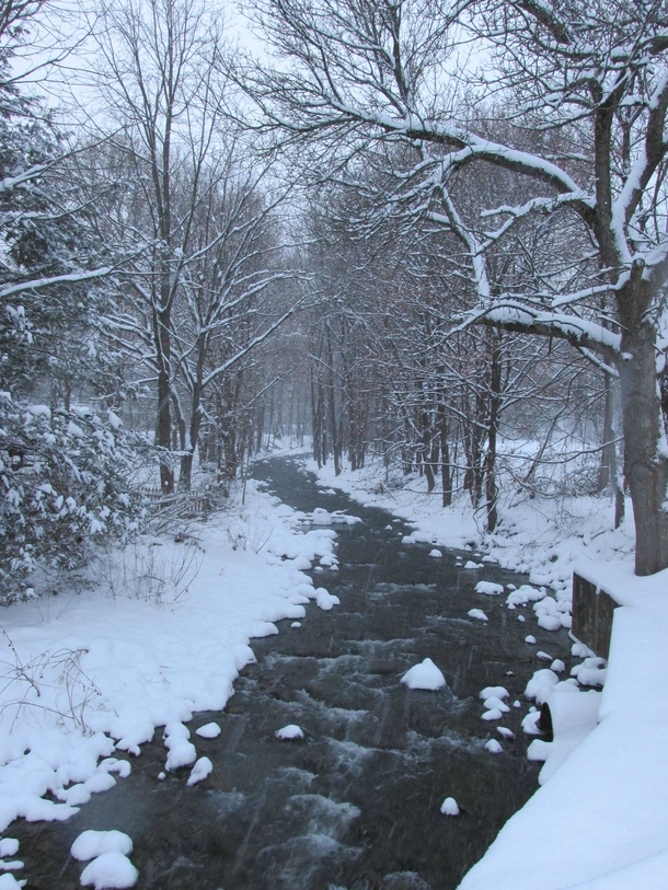 Snowy creek in Upstate NY 