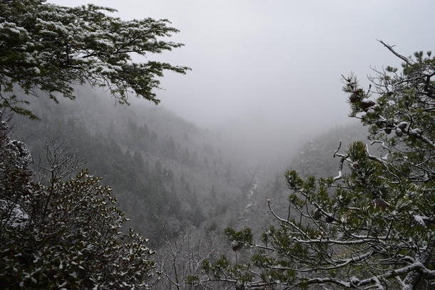 Snowy day at Linville Gorge NC 