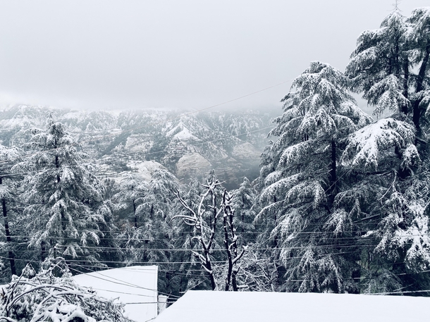 Snowy day in Shimla India Early   x