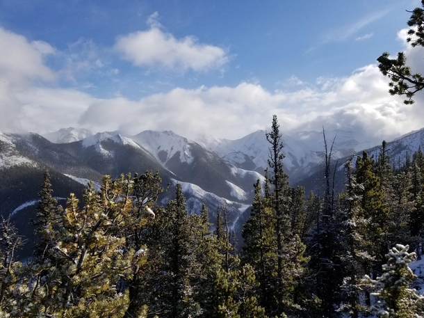 Snowy day in the Canadian Rockies  OC