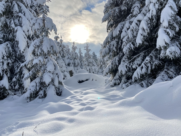 Snowy landscape this winter near Fleckenberg Sauerland in Germany 