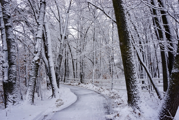 Snowy path in Minnesota 