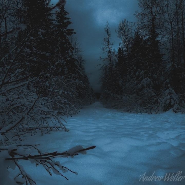 Snowy Winters in Alaska 