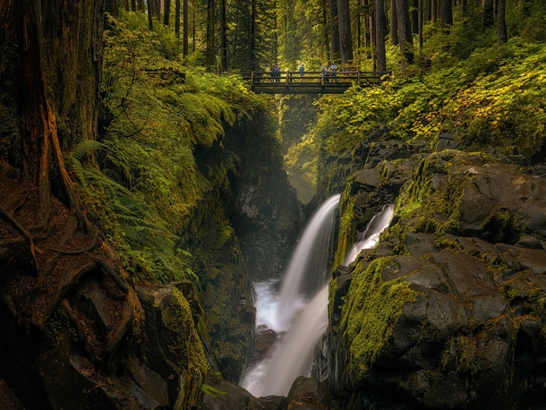 Sol Duc Falls Olympic National Park Washington State  by Ray Jennings  xpost rJunglePorn