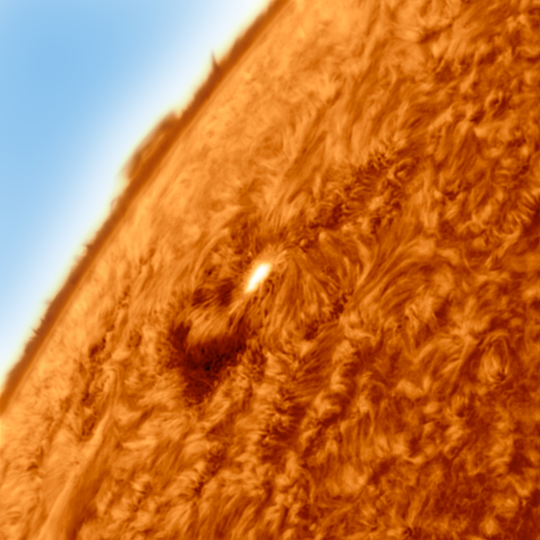 Solar Active Region  with Sun Spot