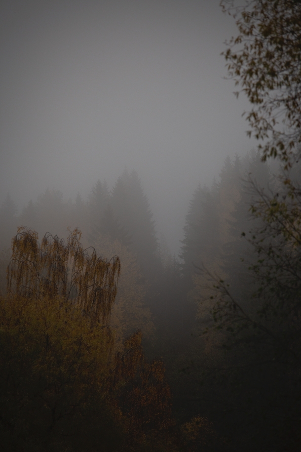 Some heavy fog in autumn  loc Finland