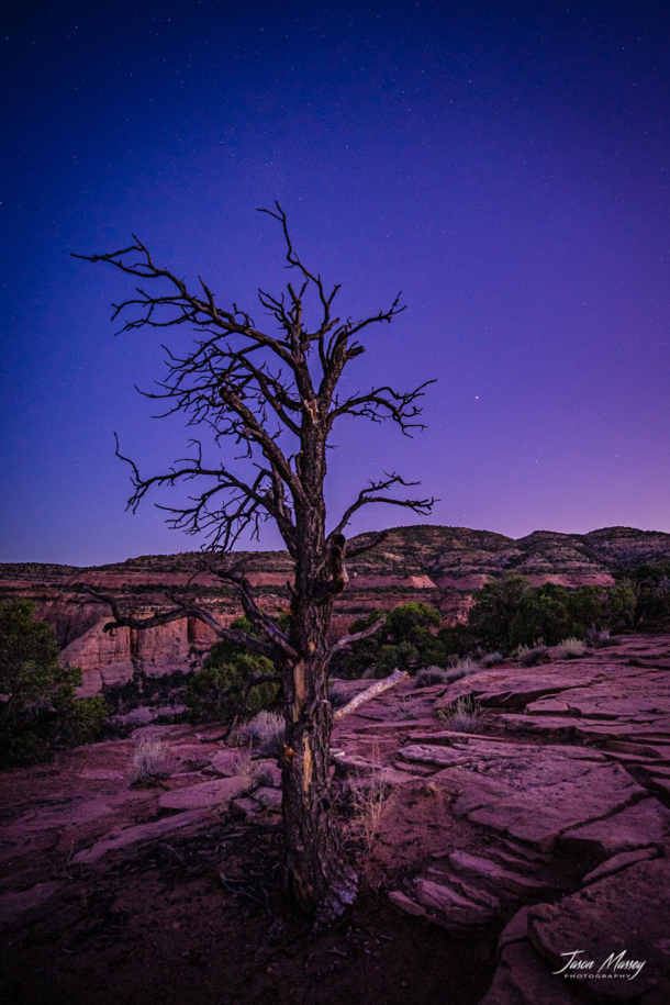 Some lovely blue hour lighting in Colorado National Monument Grand Junction CO This view was from Ottos Trail facing southwest 