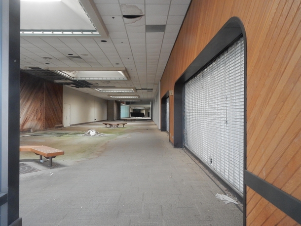 Something Is Growing In This Dead Mall