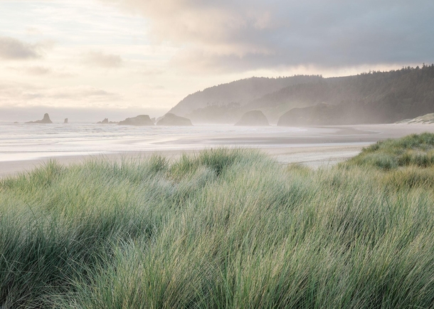 Something special about misty ocean air and beautifully subtle sunset light Cannon Beach OR 