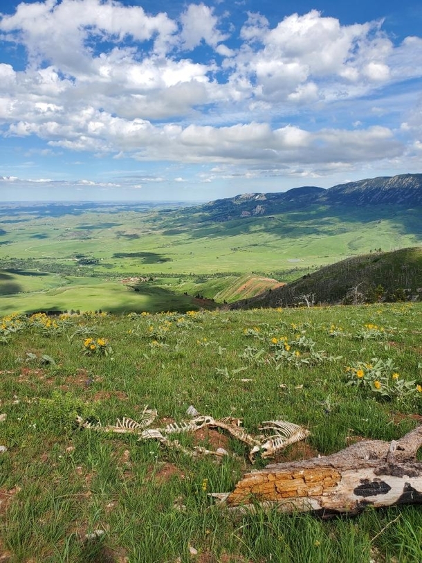 Somewhere along the edge of the Bighorn Mountains Photo by Mallory Petty 