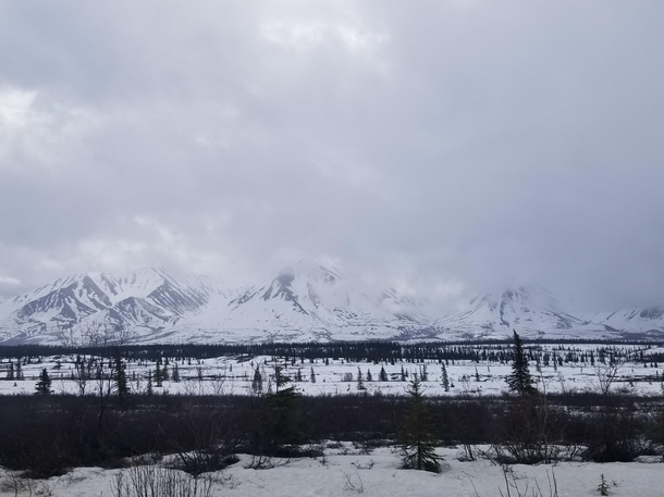 Somewhere outside Denali National Park Alaska  