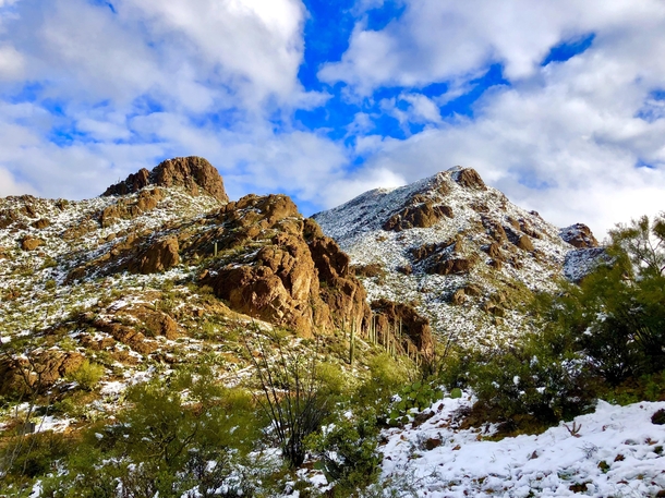 Sonoran Desert Snow at Gates Pass Tucson AZ 