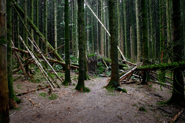 South Wales UK Theres something especially ominous about silence of these woods  OC