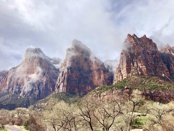 Spent spring break touring several national parks but nothing could have prepared me for the beauty of Zion National Park 