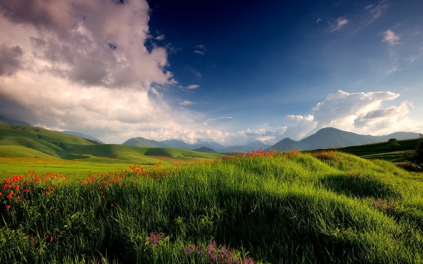 Spirits of Spring - grassy hills of Kyrgyzstan  photo by Lazy Vlad