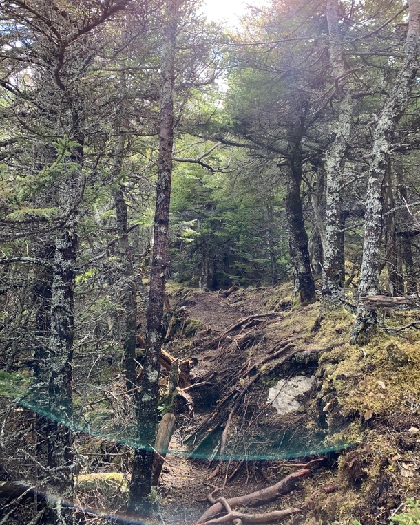 Split Rock Trail in St John NB Canada 