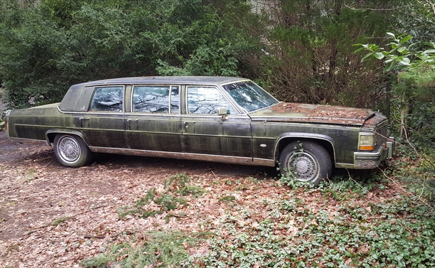 Spotted a beautiful abandoned car today 