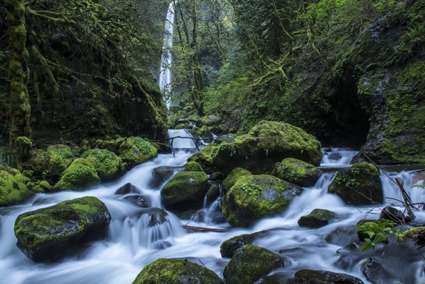 Spring in Oregon means waterfall hunting Elowah Falls OR 