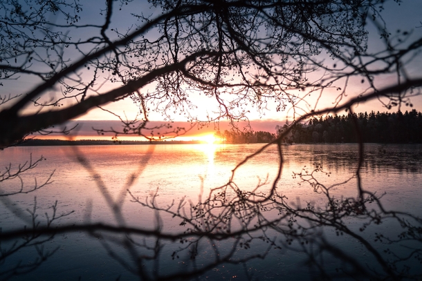 Spring is slowly but surely on its way Sun rising in Sweden  IG mdmperspective