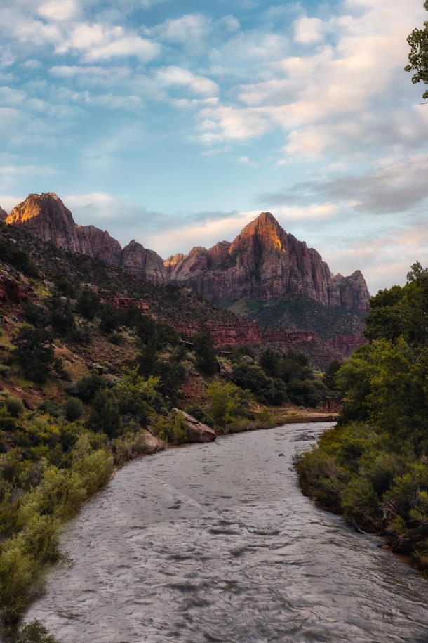 Spring morning in Zion national park 