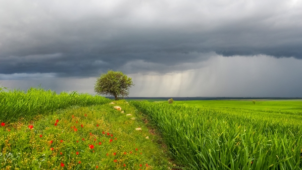Spring rains in central Turkey  by Sedat Yildiz