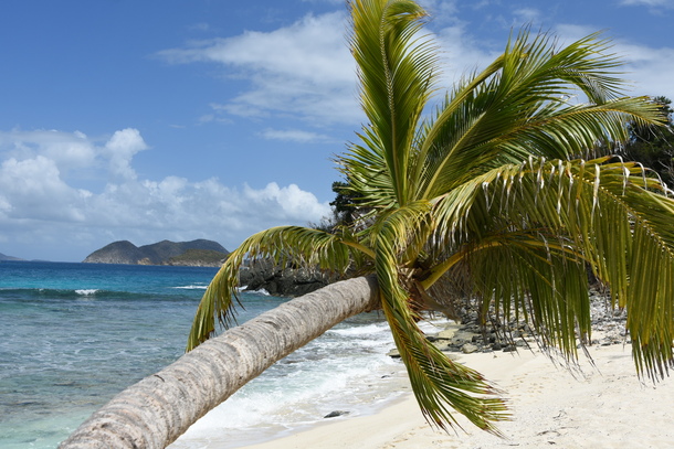 St John US Virgin Islands  x  