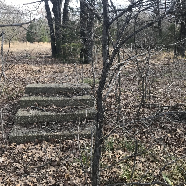 Stairs in the woodlands of North Texas 