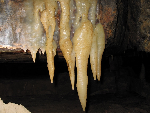 Stalactites in the Ohio Caverns West Liberty Ohio USA 