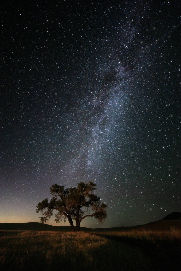 Stargazing in Eastern Washington State  IG mattfloresfoto