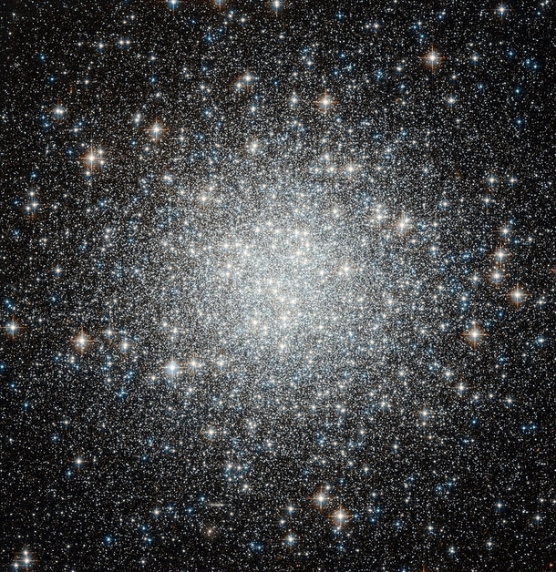 Stars in a globular cluster are up to a thousand times closer together than they are in our region of space  M Hubble