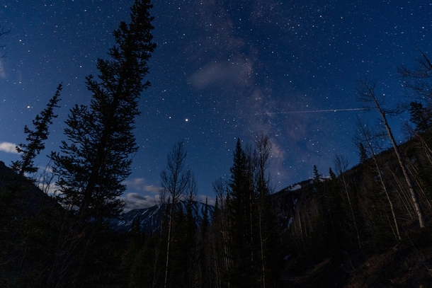 Stars in the San Juan Wilderness Colorado before I set off to summit Uncompaghre Peak on  May 