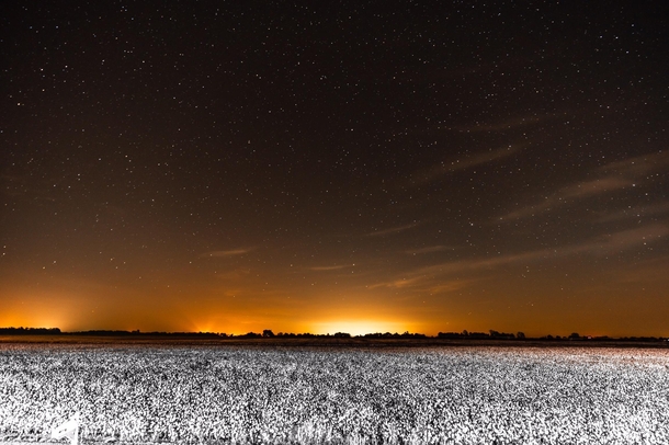 Stars over a field of snow in the Mississippi Delta 