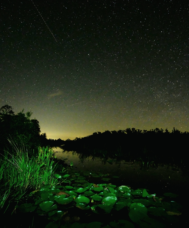 Stars over Georgias swamps