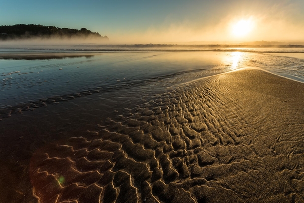 Steam rises from the ocean during sunrise Hot Water Beach Coromandel Peninsula New Zealand 