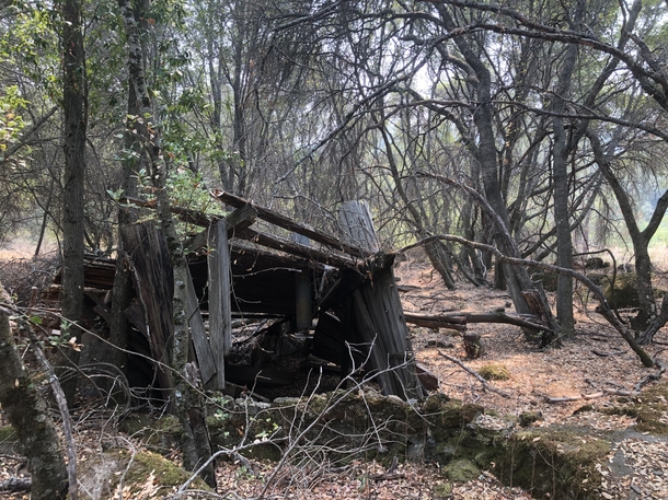 Stone wall outlasted its shack in the woods on Clear Lake California