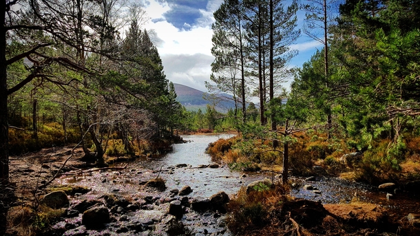 Stream flowing into Loch an Eilein Scotland 