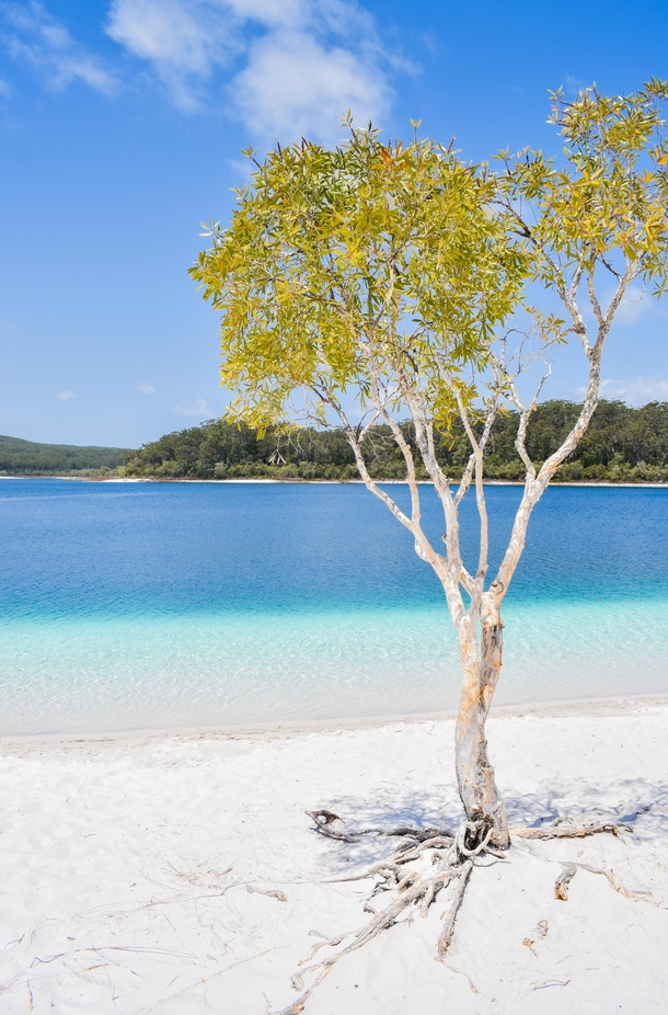 Summer day on Lake Mckenzie Fraser Island Australia x OC