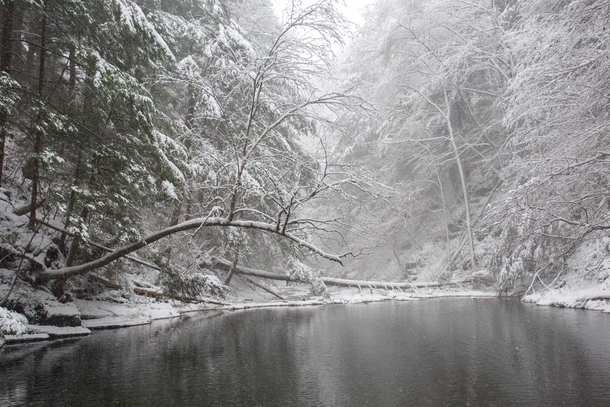 Summer swimming hole dressed in winter white - Ithaca NY OC