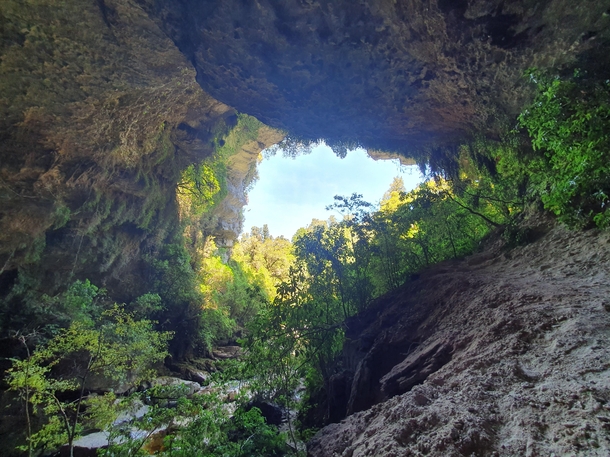 Summers day at Oparara Cave Kahurangi National Park 