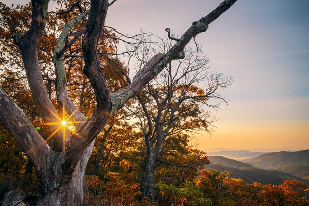 Sun Sets on Autumn - Shenandoah National Park - Virginia 