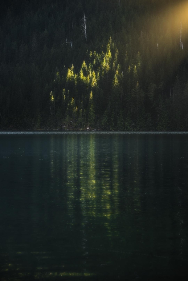 Sunlight kissing the treetops Chilliwack Lake BC 