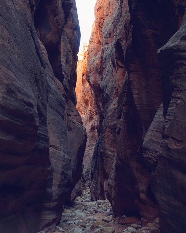 Sunlight trying its best to reach the bottom of this slot canyon - Buckskin Gulch UT 