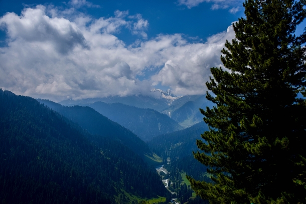Sunny afternoon on a lush green landscape Gulmarg valley in India 