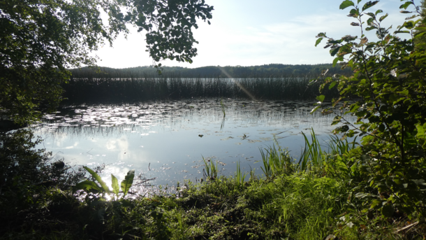 Sunny day at the lake Lejondalssjn Sweden 
