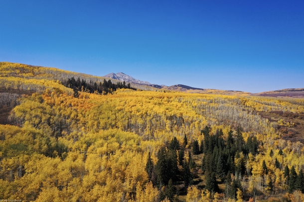 Sunny Fall Day - Aspen Colorado 