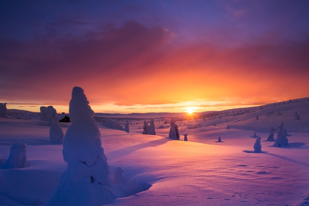 Sunrise in JRVSVIKEN Sweden  by Jrn Allan Pedersen