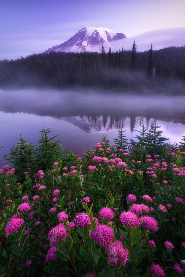 Sunrise in Mount Rainier National Park  by JayKlassy